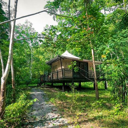 Anurak Community Lodge - Sha Plus Khao Sok National Park Buitenkant foto
