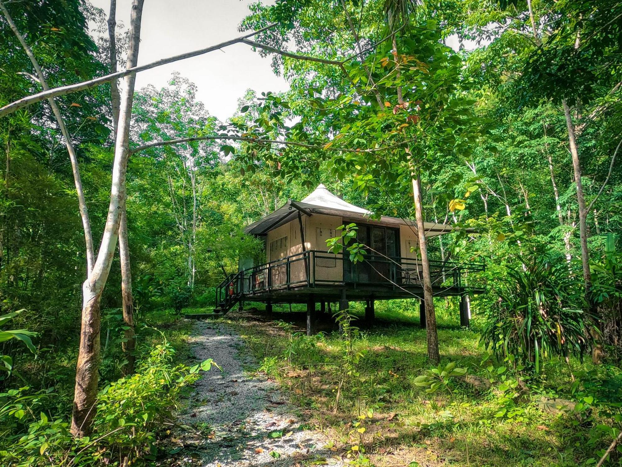Anurak Community Lodge - Sha Plus Khao Sok National Park Buitenkant foto