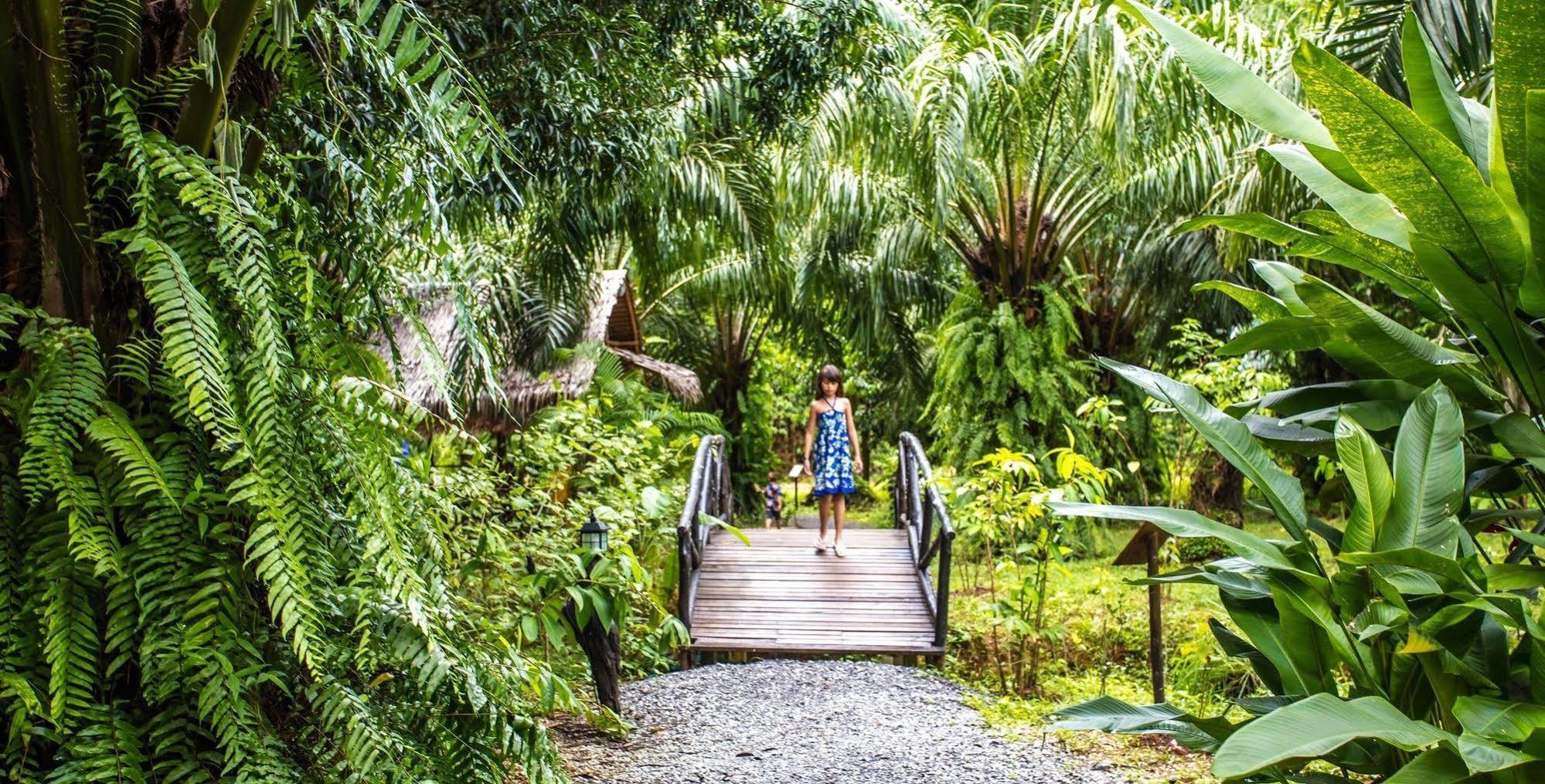 Anurak Community Lodge - Sha Plus Khao Sok National Park Buitenkant foto